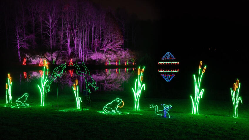 Photo of a garden light display outside at night including lighted frogs, gazebo, trees, and pond reflections in the water
